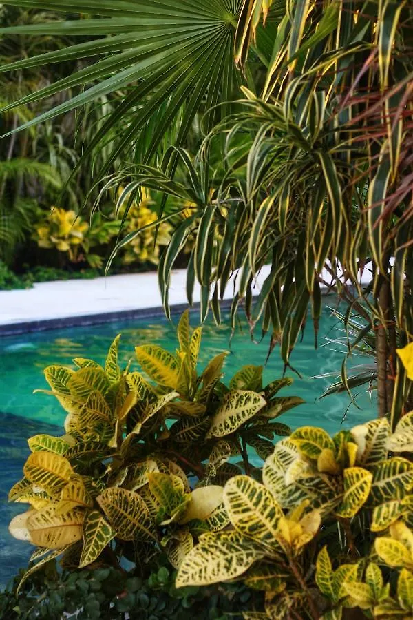 Apartment Heart & Soul Ph Suite Tulum